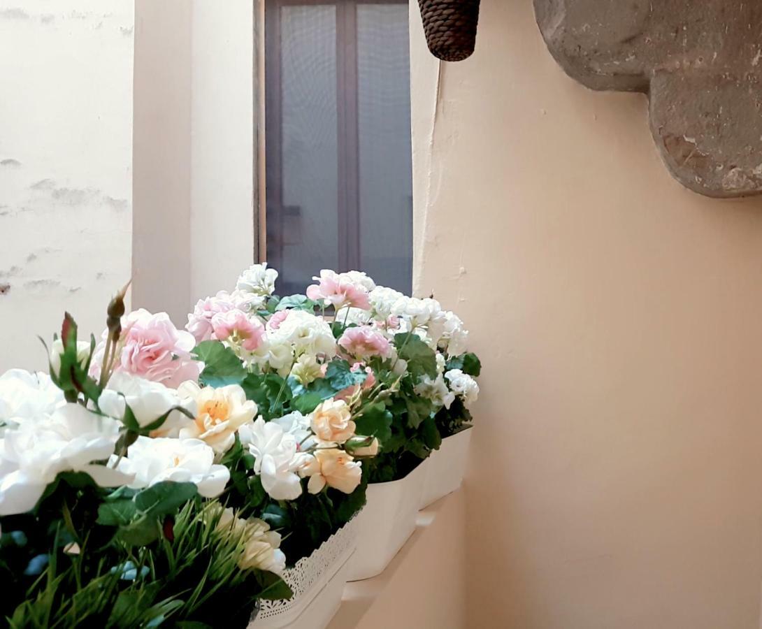 Velvet Loft - Santo Spirito Apartment Firenze Kültér fotó